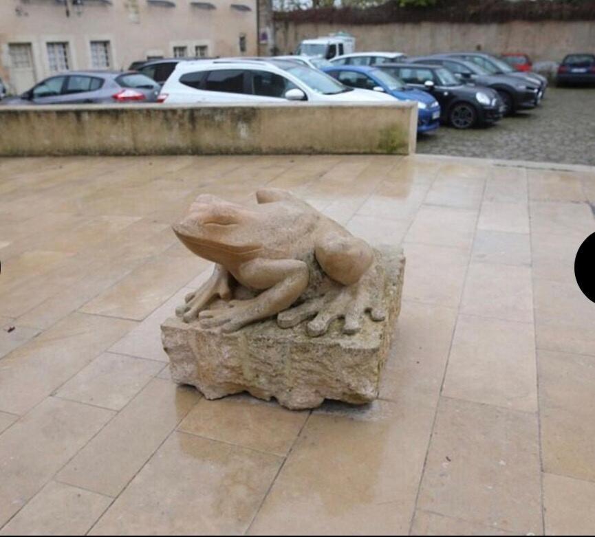 "La Grenouille" Centre Historique - Les Terres Du Roy Villa Avallon Bagian luar foto